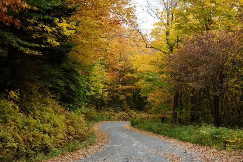 Higher Ground: What Vermont's Terrain Does to Your Body Before Race Day