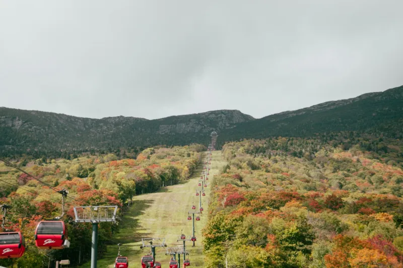 Why Vermont's Hills Are the Best Kept Secret in Marathon Training
